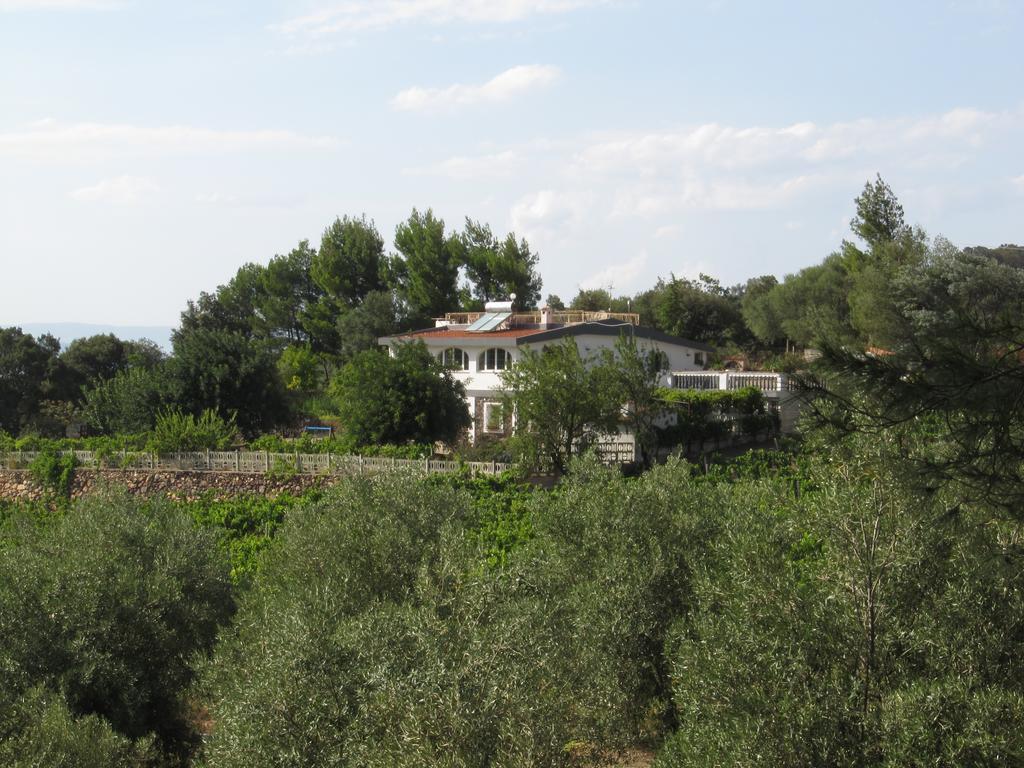 Villa Maria Dorgali Habitación foto